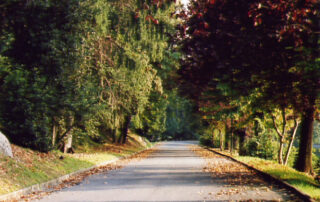 untitled_10
