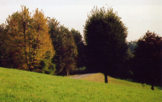 untitled_12
