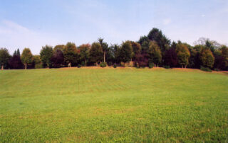untitled_13
