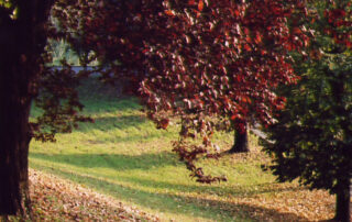 untitled_6
